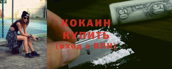 гашик Касимов