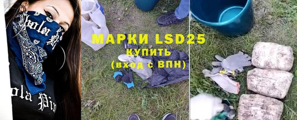 спайс Инта