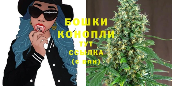 спайс Инта