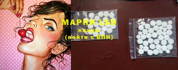 гашик Касимов