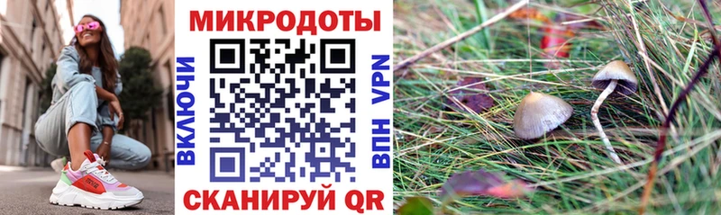 даркнет телеграм  Жуковский  Галлюциногенные грибы мухоморы  магазин продажи  